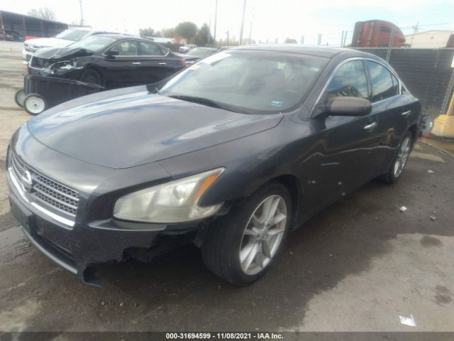 Photo 1 VIN: 1N4AA5AP1BC833484 - NISSAN MAXIMA 