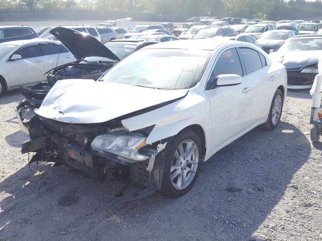 Photo 1 VIN: 1N4AA5AP1BC836613 - NISSAN MAXIMA 