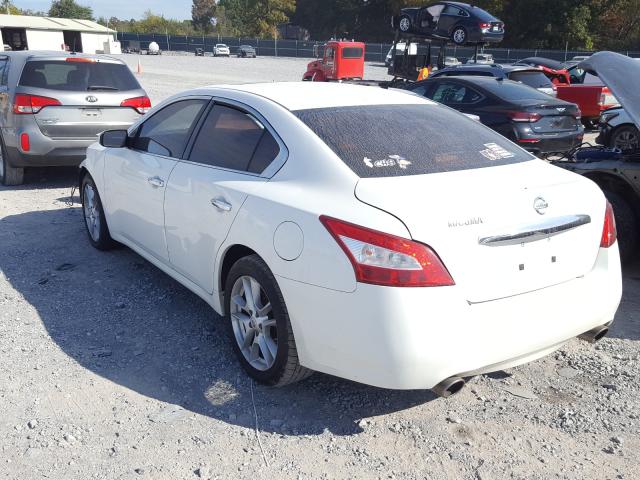 Photo 2 VIN: 1N4AA5AP1BC836613 - NISSAN MAXIMA 