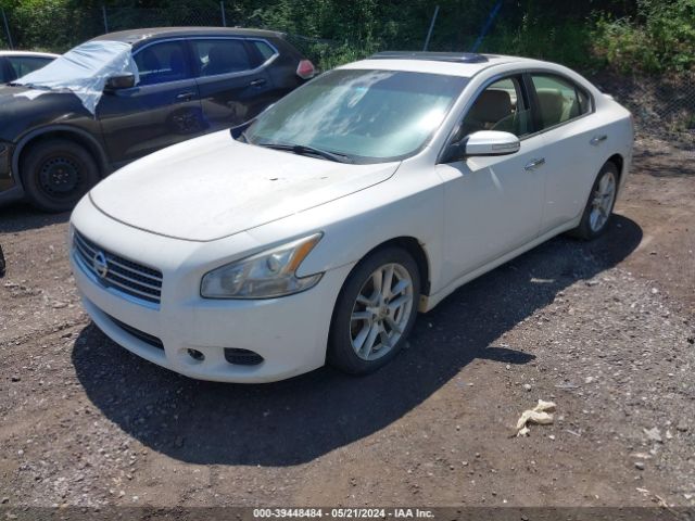 Photo 1 VIN: 1N4AA5AP1BC844324 - NISSAN MAXIMA 