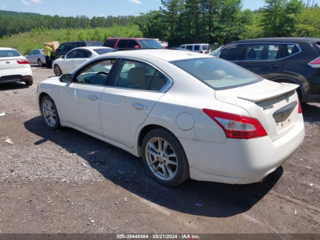 Photo 2 VIN: 1N4AA5AP1BC844324 - NISSAN MAXIMA 