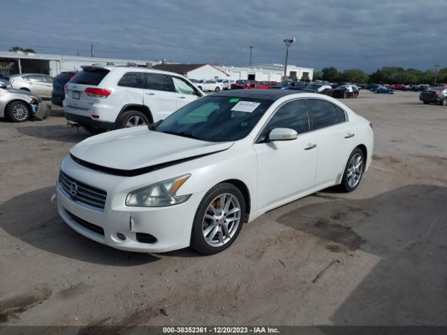 Photo 1 VIN: 1N4AA5AP1BC844548 - NISSAN MAXIMA 