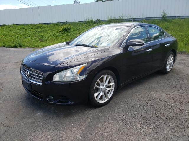 Photo 1 VIN: 1N4AA5AP1BC844968 - NISSAN MAXIMA S 