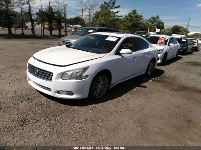 Photo 1 VIN: 1N4AA5AP1BC845635 - NISSAN MAXIMA 