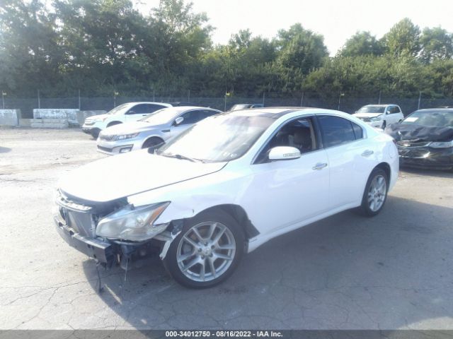 Photo 1 VIN: 1N4AA5AP1BC850463 - NISSAN MAXIMA 