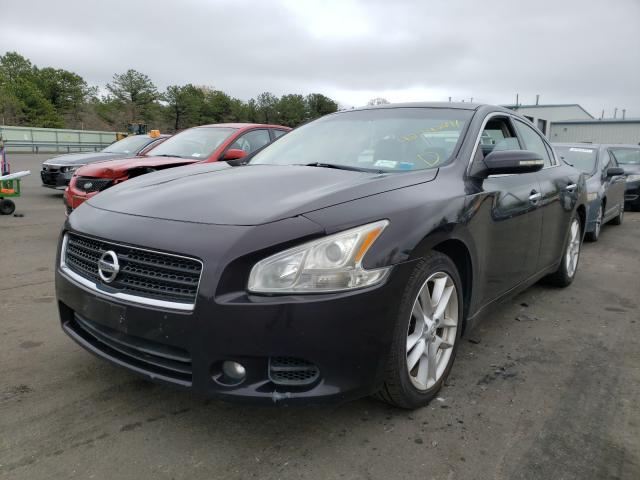 Photo 1 VIN: 1N4AA5AP1BC852259 - NISSAN MAXIMA S 