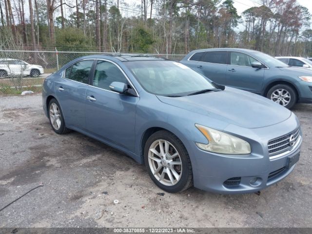 Photo 0 VIN: 1N4AA5AP1BC854707 - NISSAN MAXIMA 