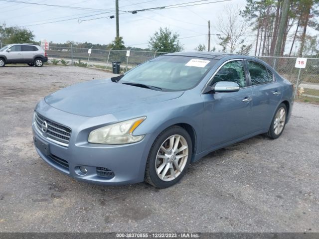 Photo 1 VIN: 1N4AA5AP1BC854707 - NISSAN MAXIMA 