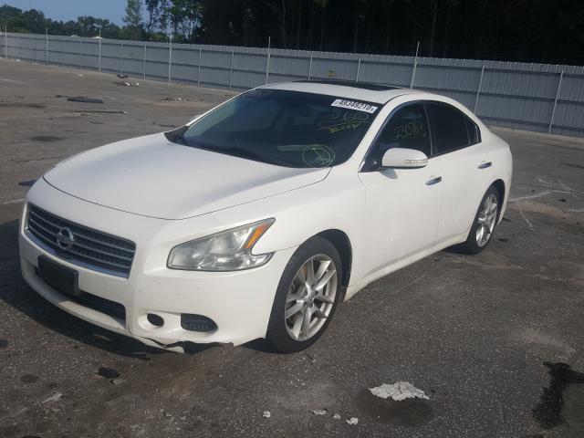 Photo 1 VIN: 1N4AA5AP1BC854982 - NISSAN MAXIMA 