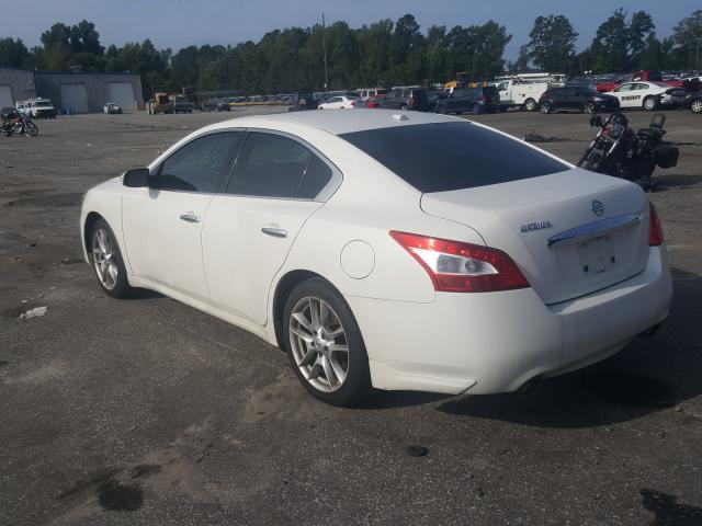 Photo 2 VIN: 1N4AA5AP1BC854982 - NISSAN MAXIMA 