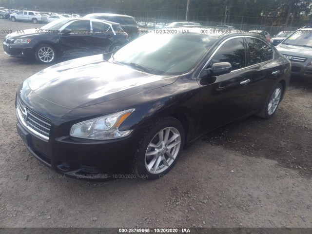 Photo 1 VIN: 1N4AA5AP1BC855873 - NISSAN MAXIMA 