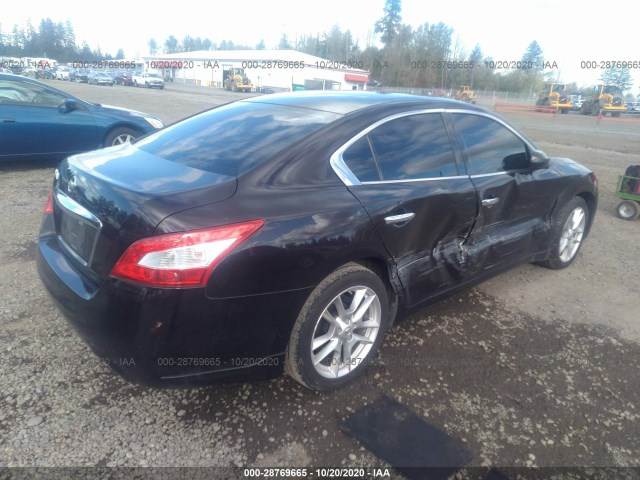 Photo 3 VIN: 1N4AA5AP1BC855873 - NISSAN MAXIMA 