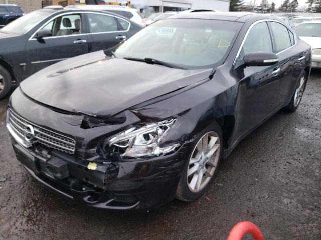 Photo 1 VIN: 1N4AA5AP1BC858319 - NISSAN MAXIMA S 