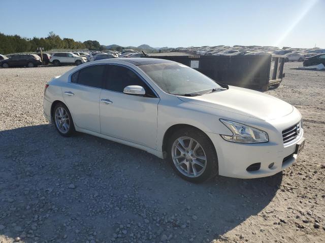 Photo 3 VIN: 1N4AA5AP1BC858370 - NISSAN MAXIMA S 