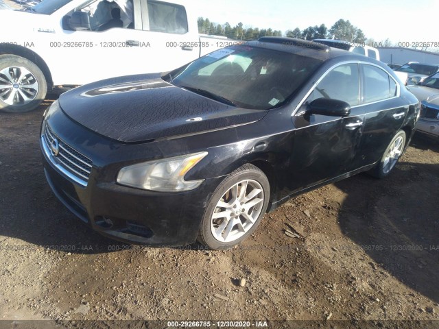 Photo 1 VIN: 1N4AA5AP1BC859583 - NISSAN MAXIMA 