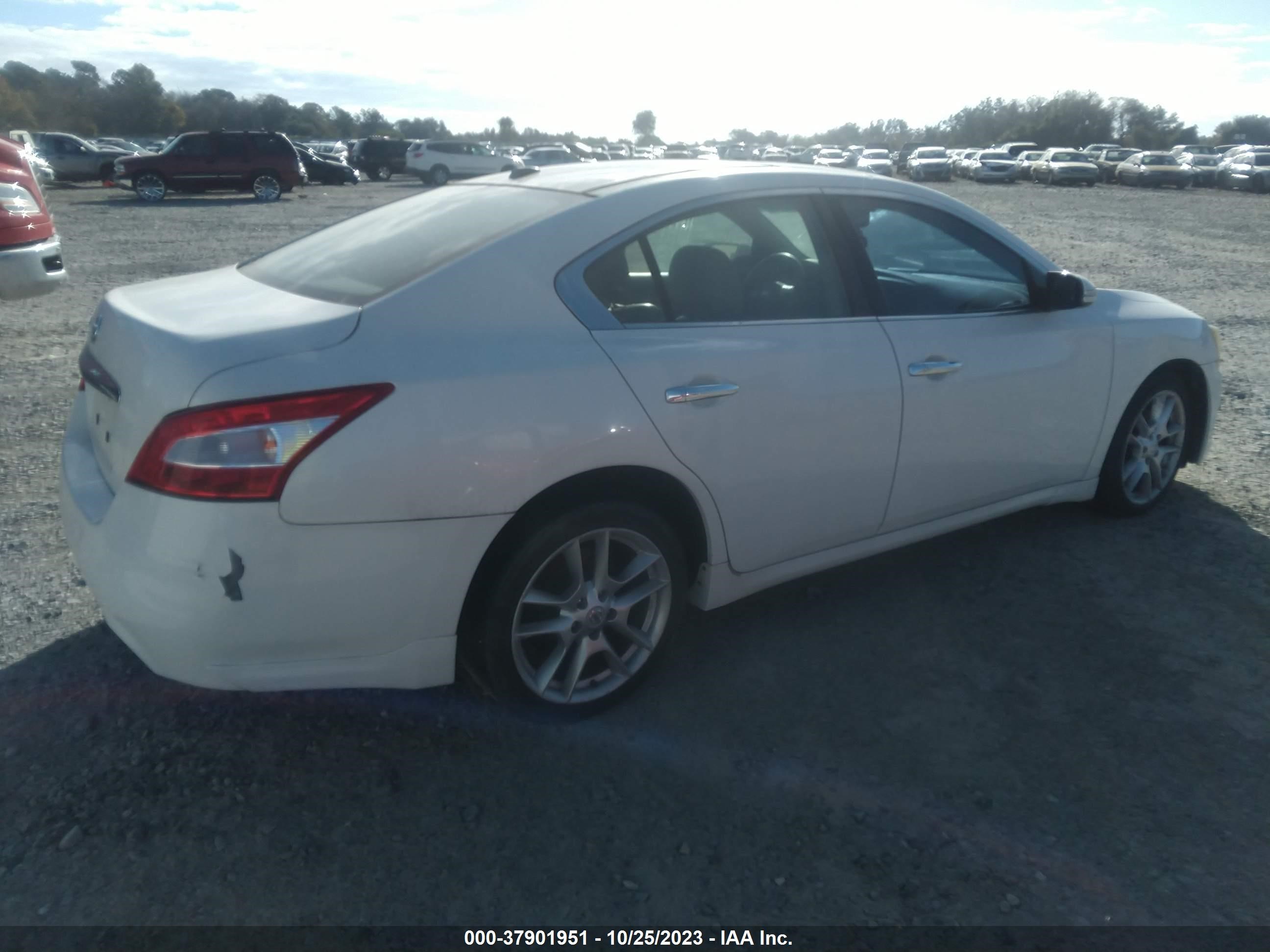 Photo 3 VIN: 1N4AA5AP1BC860216 - NISSAN MAXIMA 