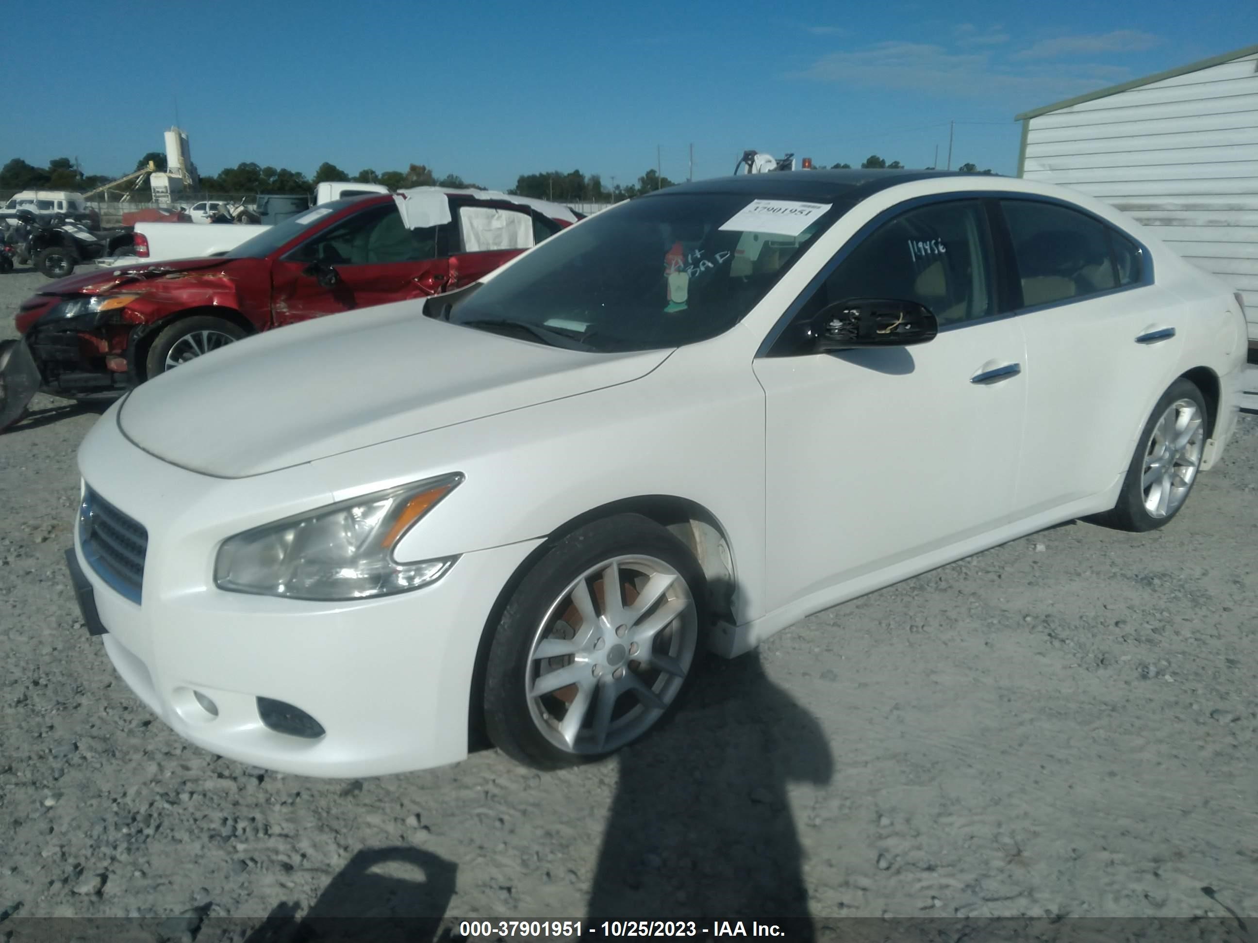 Photo 5 VIN: 1N4AA5AP1BC860216 - NISSAN MAXIMA 