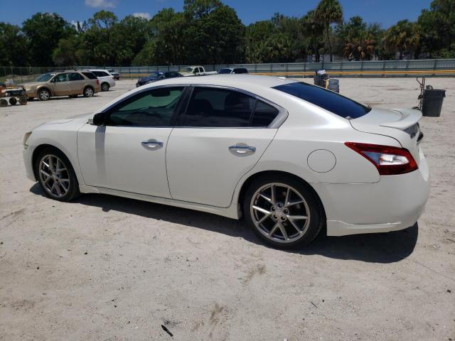 Photo 1 VIN: 1N4AA5AP1BC860300 - NISSAN MAXIMA 