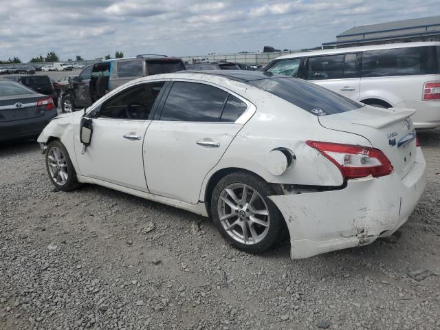 Photo 1 VIN: 1N4AA5AP1BC868428 - NISSAN MAXIMA S 