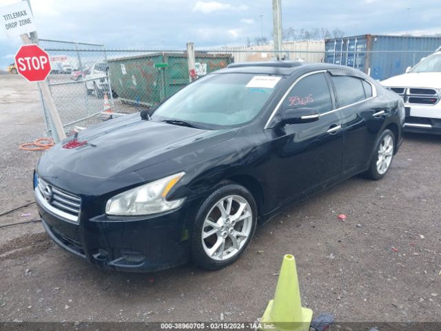 Photo 1 VIN: 1N4AA5AP1CC804245 - NISSAN MAXIMA 