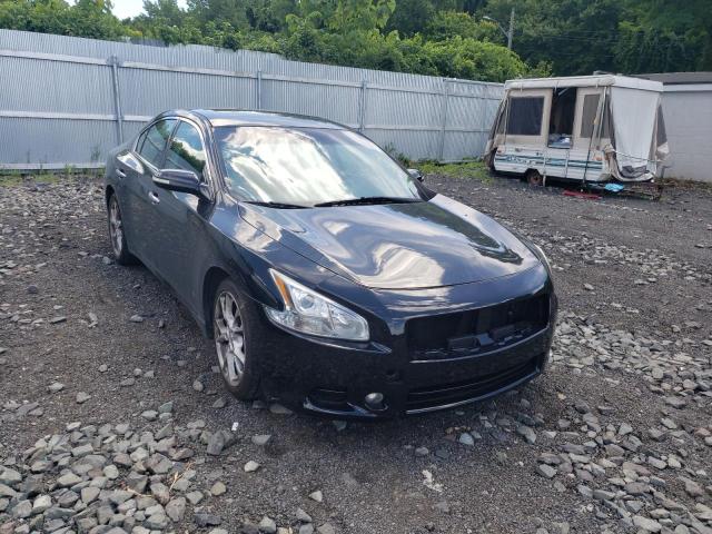 Photo 0 VIN: 1N4AA5AP1CC808313 - NISSAN MAXIMA 