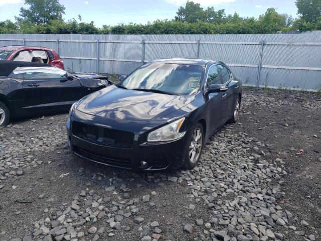 Photo 1 VIN: 1N4AA5AP1CC808313 - NISSAN MAXIMA 