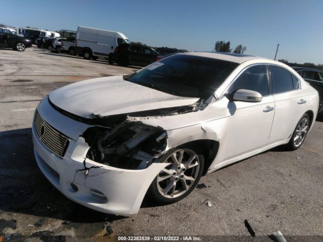 Photo 5 VIN: 1N4AA5AP1CC845667 - NISSAN MAXIMA 