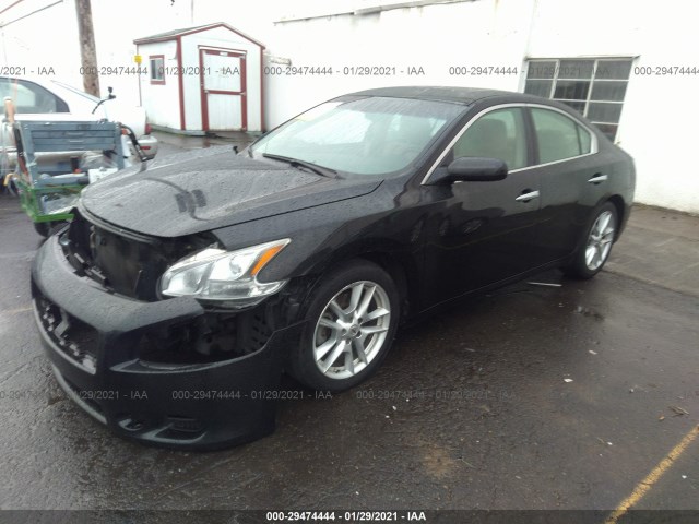 Photo 1 VIN: 1N4AA5AP1DC802058 - NISSAN MAXIMA 