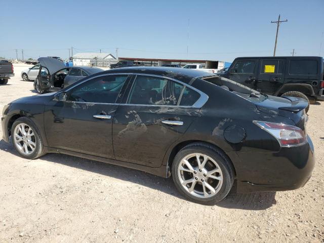 Photo 1 VIN: 1N4AA5AP1DC809981 - NISSAN MAXIMA 