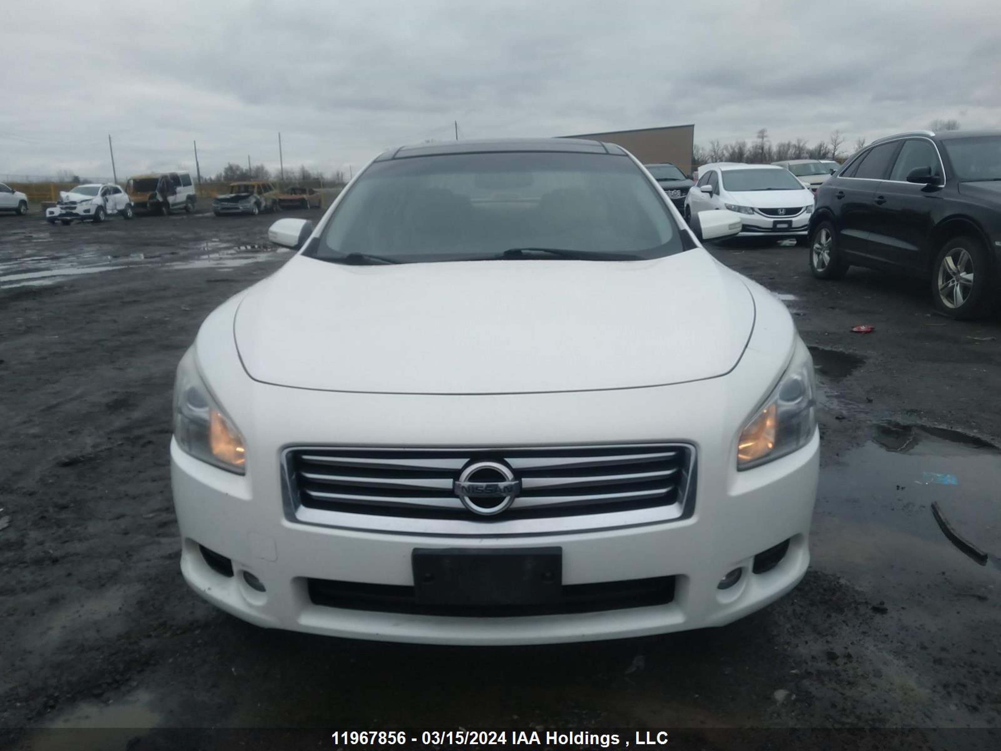 Photo 11 VIN: 1N4AA5AP1DC825968 - NISSAN MAXIMA 