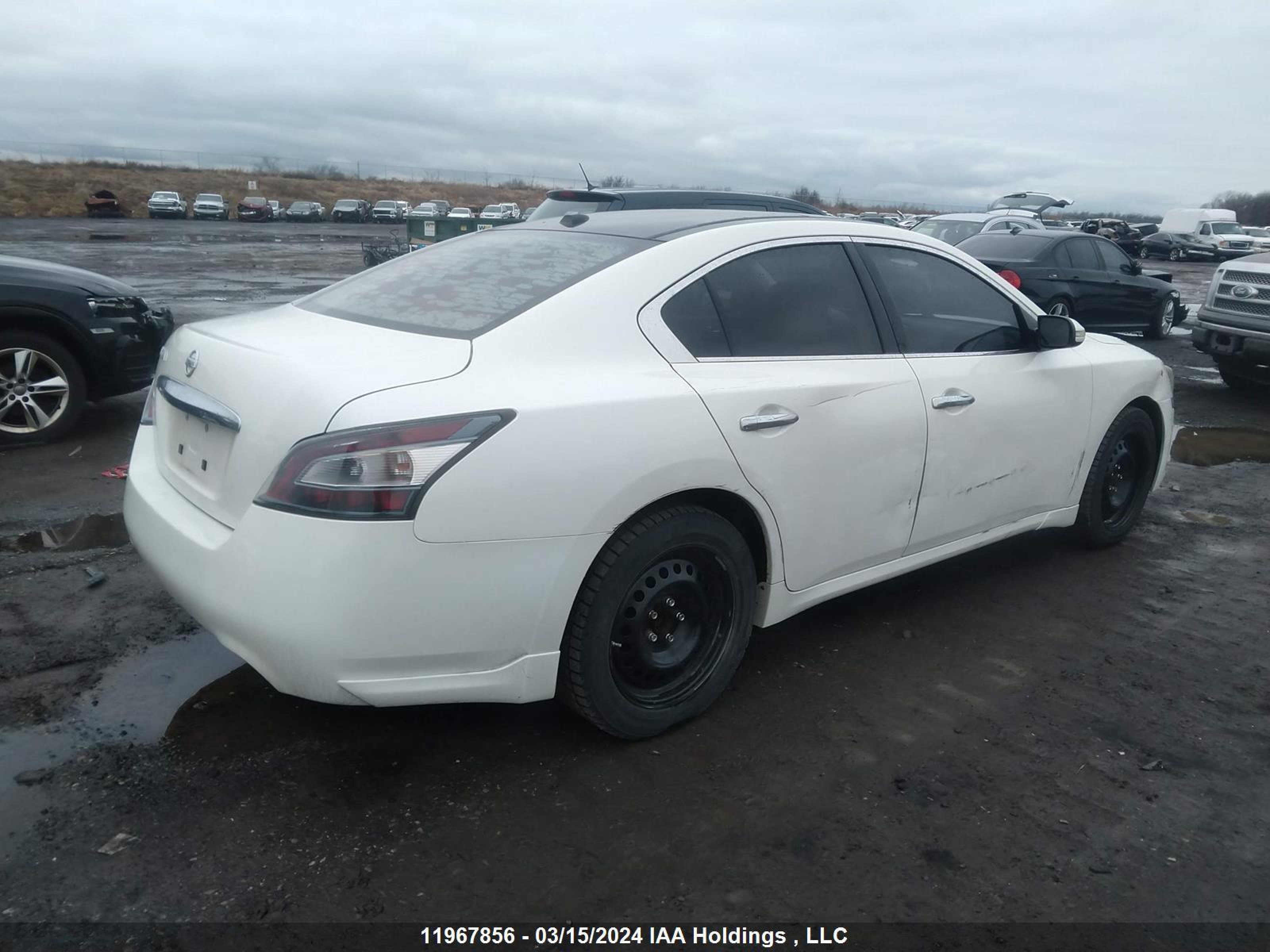 Photo 3 VIN: 1N4AA5AP1DC825968 - NISSAN MAXIMA 