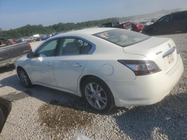 Photo 1 VIN: 1N4AA5AP1DC831334 - NISSAN MAXIMA 