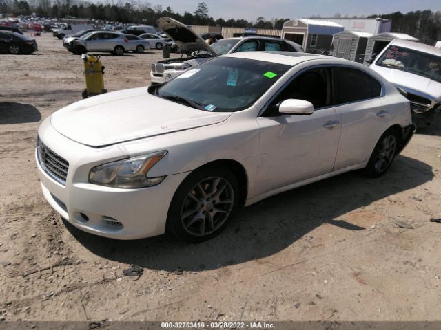 Photo 1 VIN: 1N4AA5AP1EC495489 - NISSAN MAXIMA 