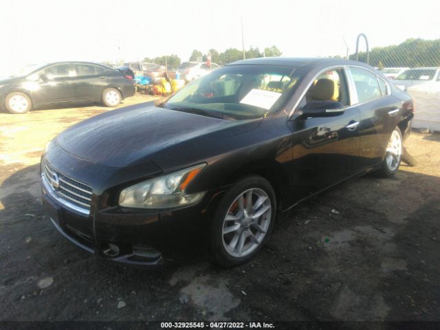 Photo 1 VIN: 1N4AA5AP2AC800721 - NISSAN MAXIMA 