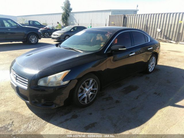 Photo 1 VIN: 1N4AA5AP2AC807846 - NISSAN MAXIMA 