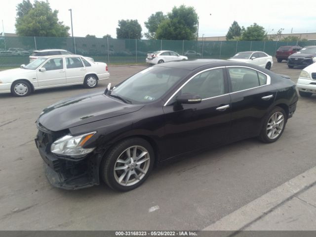 Photo 1 VIN: 1N4AA5AP2AC828163 - NISSAN MAXIMA 