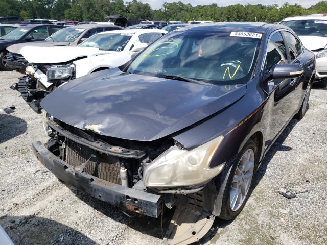 Photo 1 VIN: 1N4AA5AP2AC833377 - NISSAN MAXIMA S 