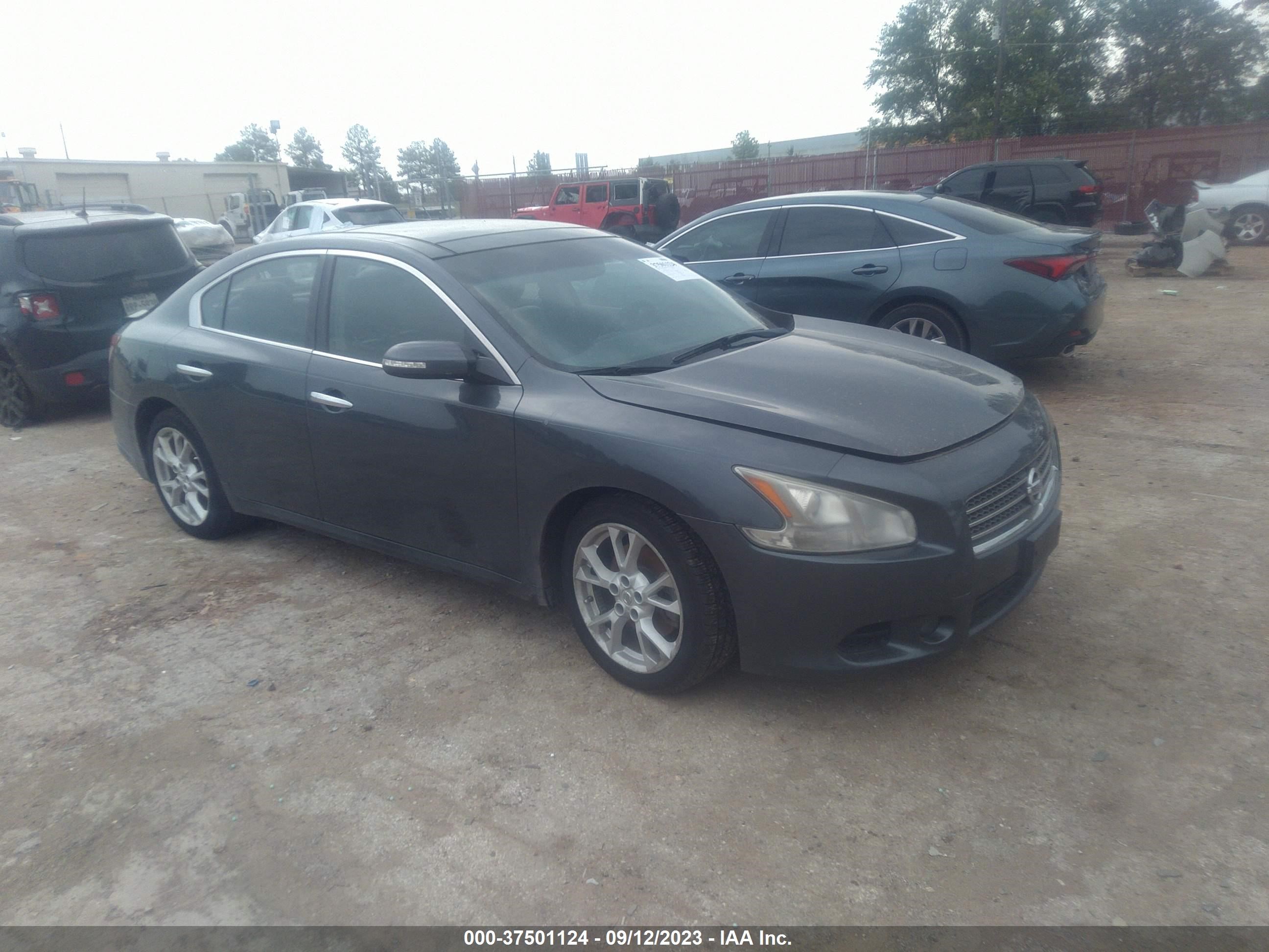 Photo 0 VIN: 1N4AA5AP2AC842127 - NISSAN MAXIMA 