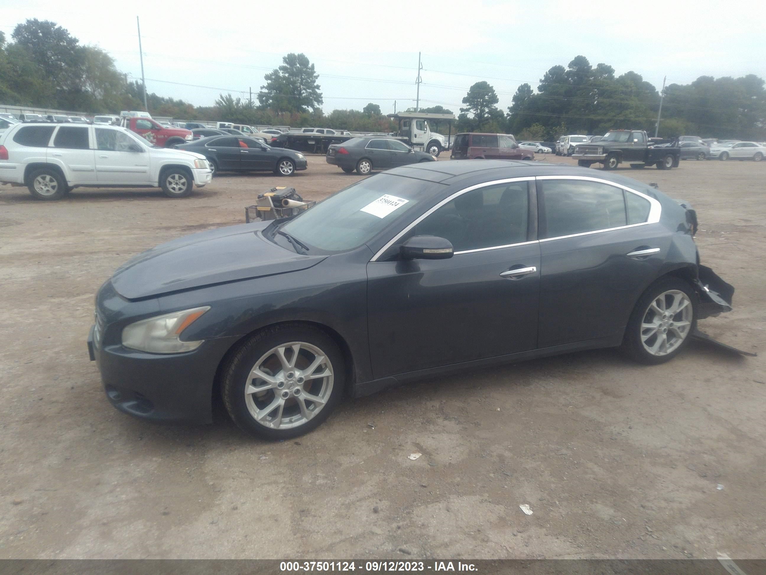 Photo 1 VIN: 1N4AA5AP2AC842127 - NISSAN MAXIMA 