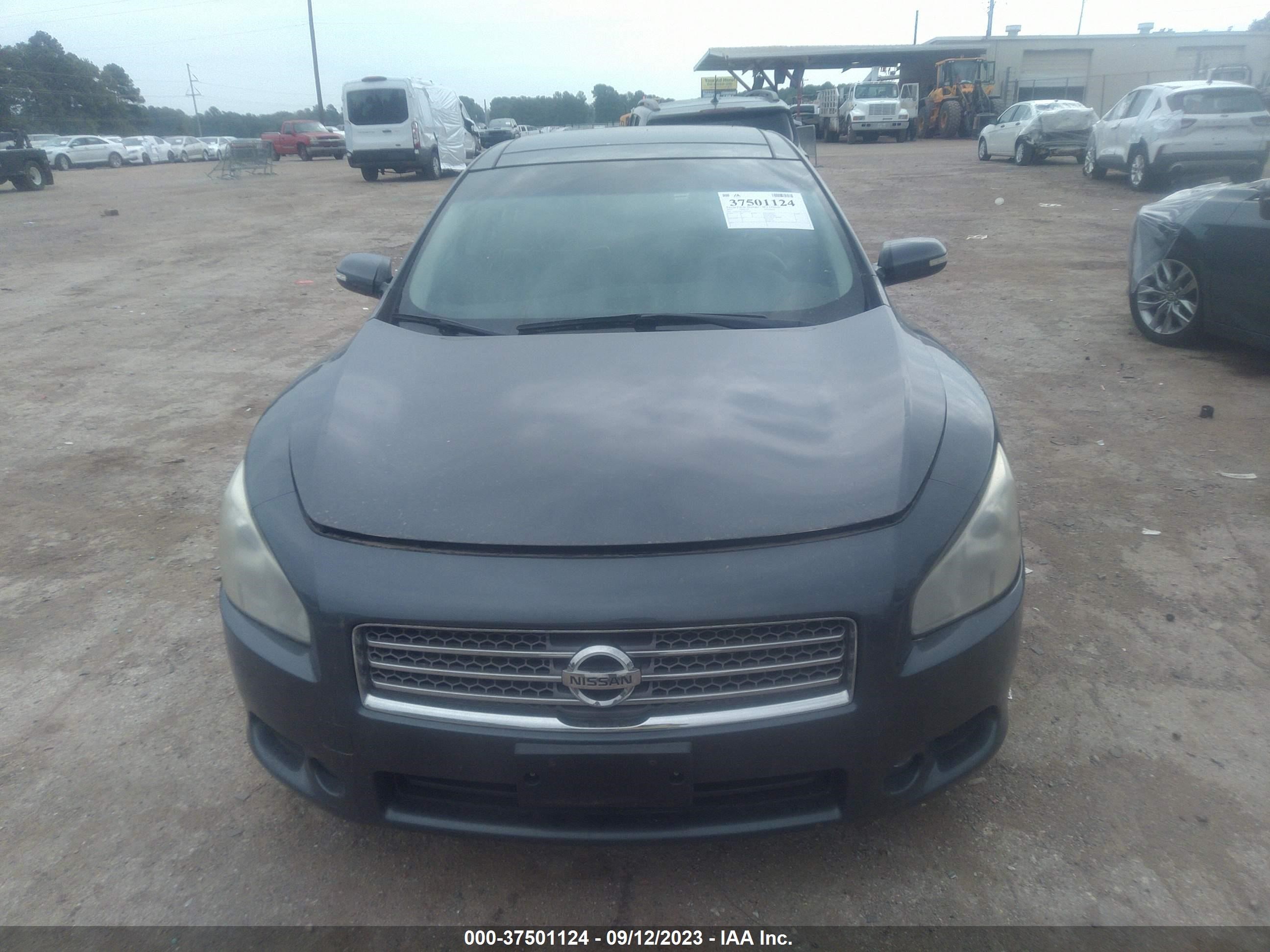 Photo 11 VIN: 1N4AA5AP2AC842127 - NISSAN MAXIMA 