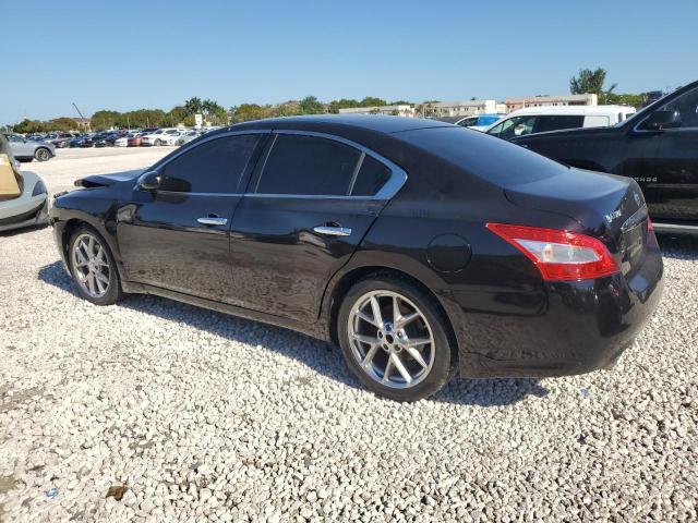 Photo 1 VIN: 1N4AA5AP2AC849563 - NISSAN MAXIMA 