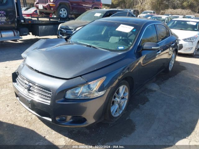 Photo 1 VIN: 1N4AA5AP2AC868338 - NISSAN MAXIMA 