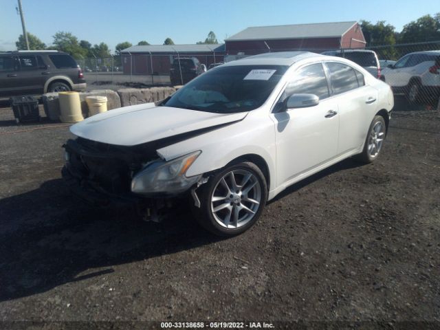 Photo 1 VIN: 1N4AA5AP2BC802373 - NISSAN MAXIMA 