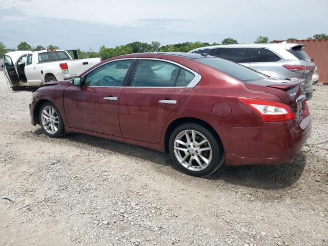 Photo 1 VIN: 1N4AA5AP2BC803541 - NISSAN MAXIMA 