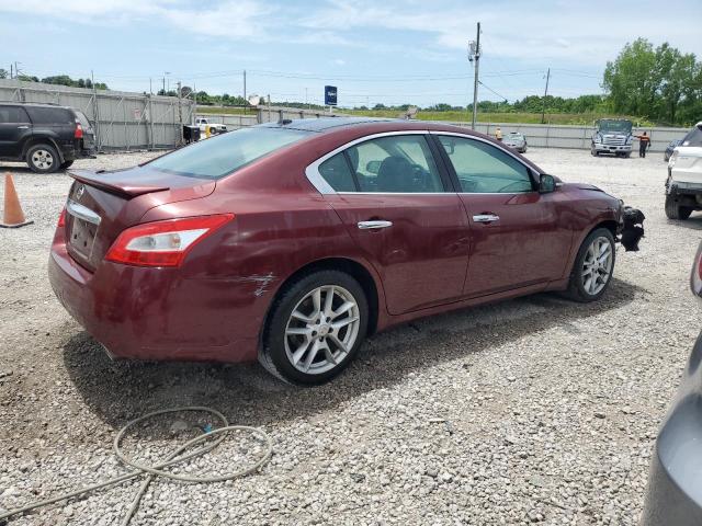 Photo 2 VIN: 1N4AA5AP2BC803541 - NISSAN MAXIMA 