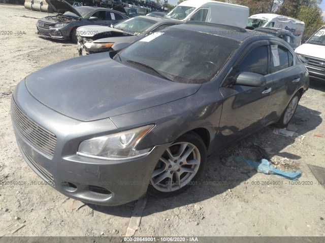 Photo 1 VIN: 1N4AA5AP2BC805614 - NISSAN MAXIMA 