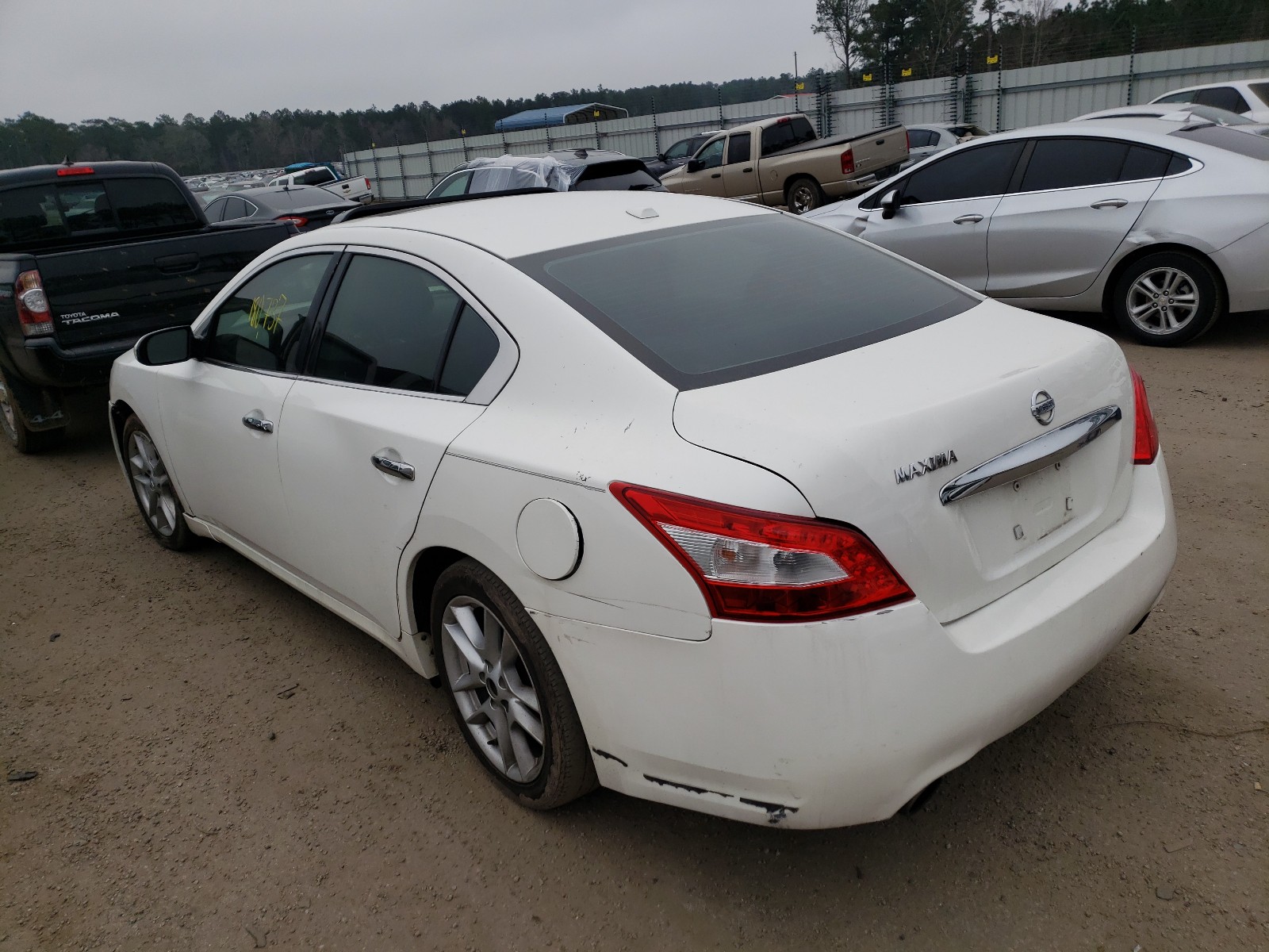 Photo 2 VIN: 1N4AA5AP2BC806262 - NISSAN MAXIMA 