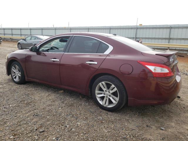 Photo 1 VIN: 1N4AA5AP2BC807282 - NISSAN MAXIMA S 