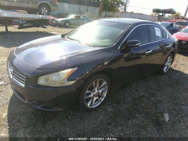 Photo 1 VIN: 1N4AA5AP2BC811624 - NISSAN MAXIMA 