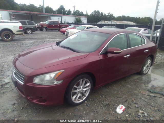 Photo 1 VIN: 1N4AA5AP2BC812546 - NISSAN MAXIMA 